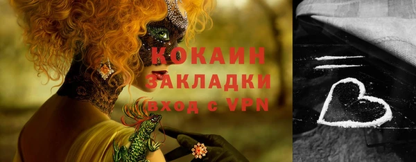 дживик Абаза