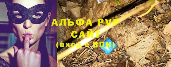 дживик Абаза