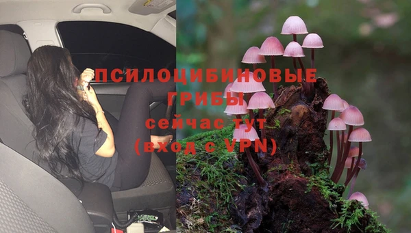 марихуана Алексин